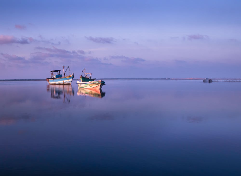 Jaffna