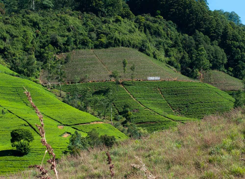 Nuwara Eliya