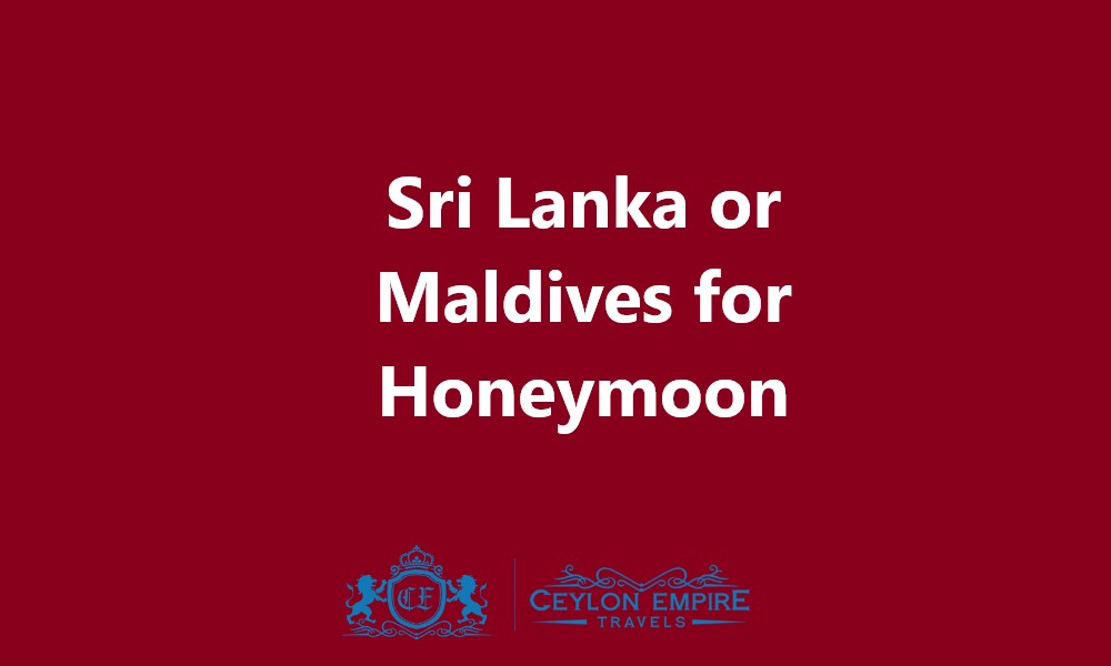 Sri Lanka or Maldives for Honeymoon