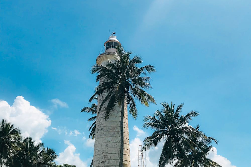 Solo Holidays to Sri Lanka: A Complete Guide for Solo Travellers