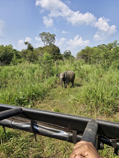 Hurulu Eco Park