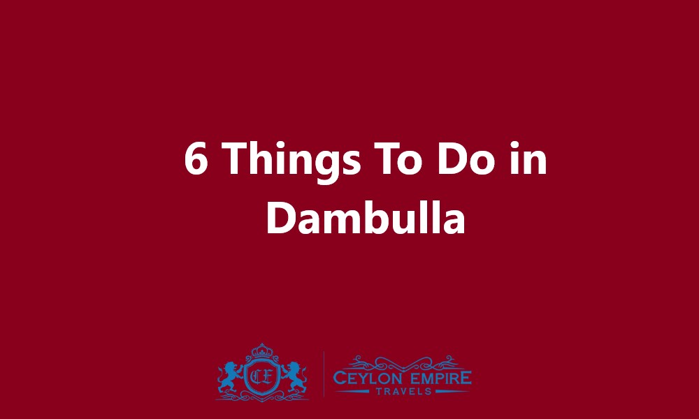 Things To Do in Dambulla