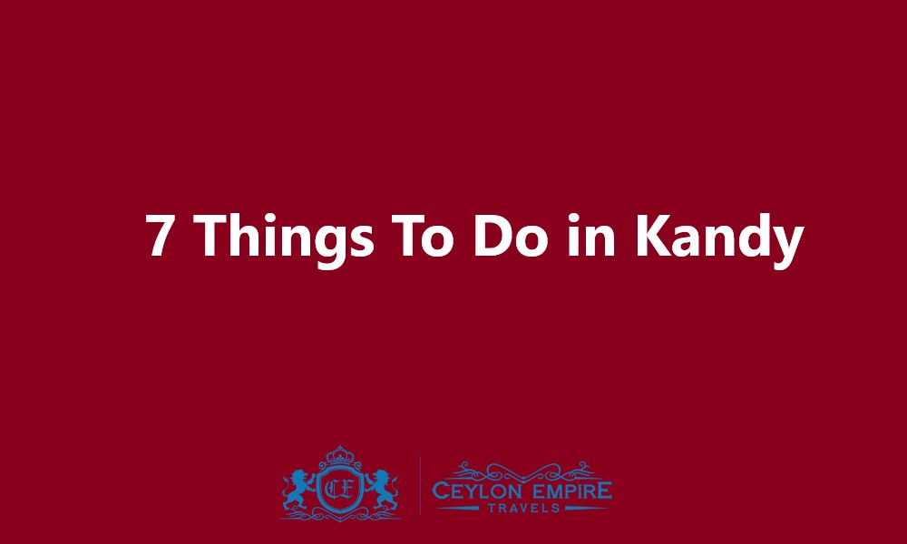 7 Things To Do in Kandy