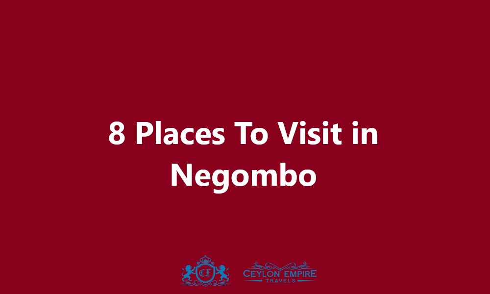 8 Places To Visit in Negombo