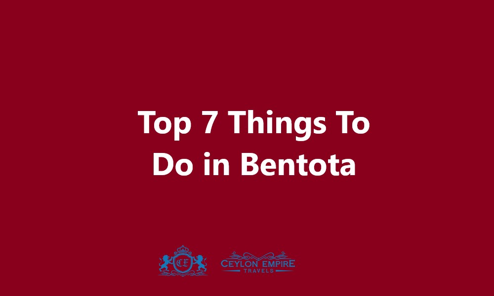 Top 7 Things To Do in Bentota