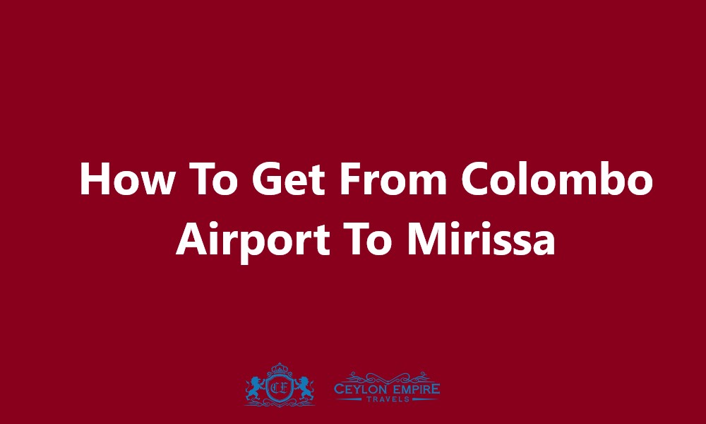 How To Get From Colombo Airport To Mirissa