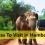 Places To Visit in Hambantota