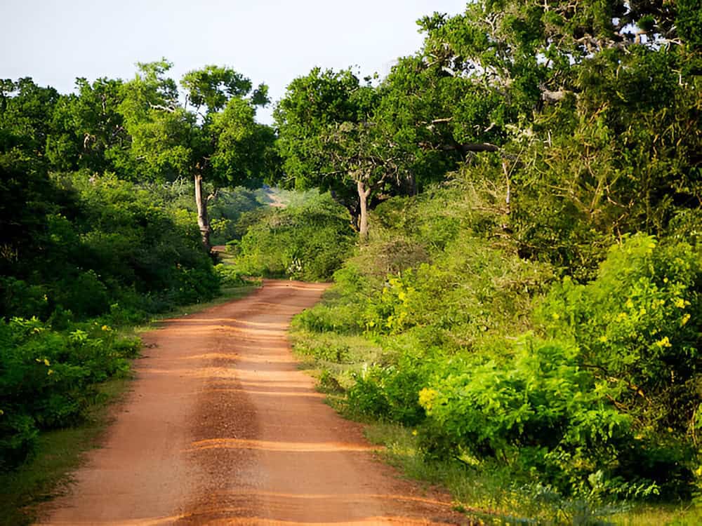 Bundala National Park