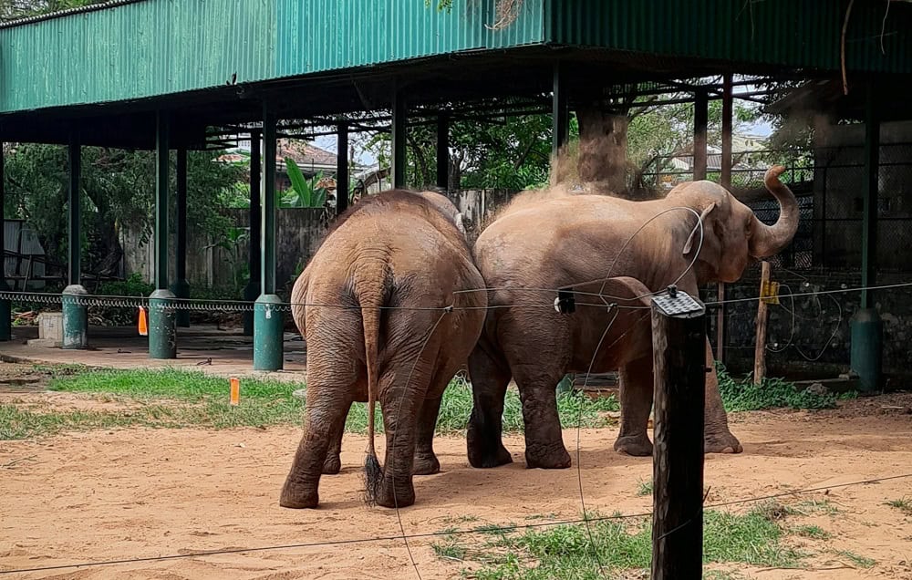 Dehiwala Zoo