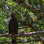 Wilpattu National Park